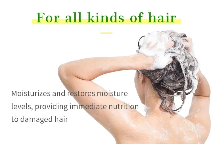 473ml Plant tea tree oil shampoo Moroccan Argan Oil Shampoo Conditioner Home Care Set hair shampoo and conditioner hair care - Image 2