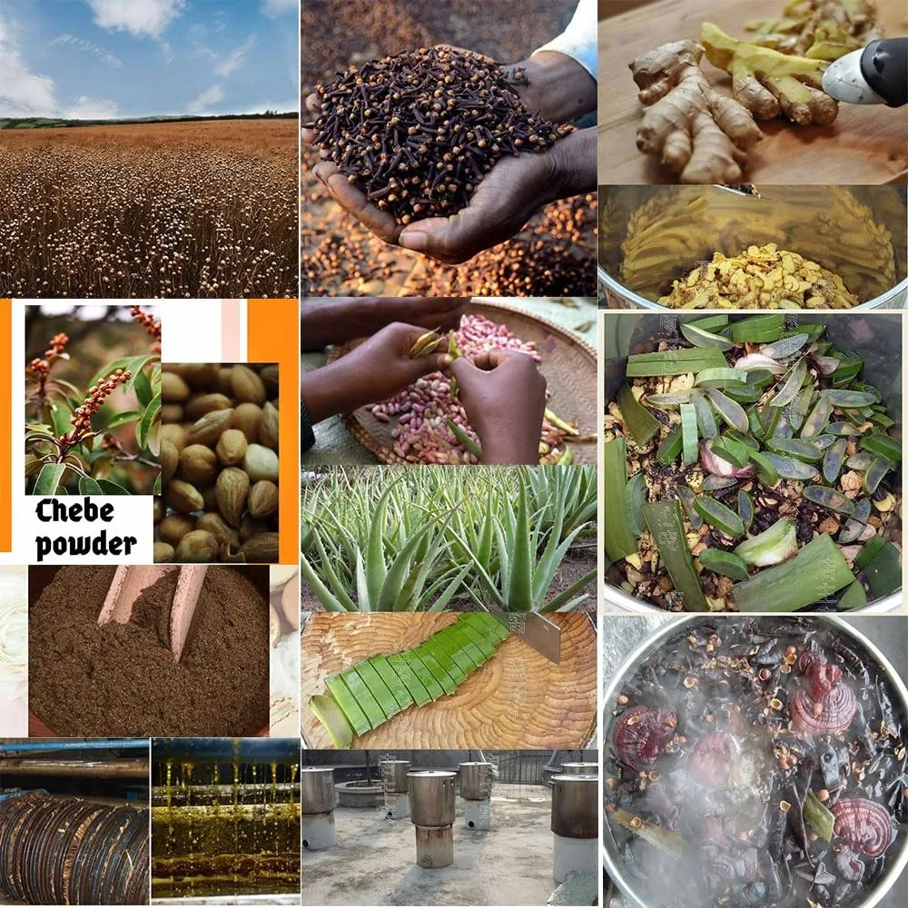 One Touch to Gorgeous 110 ml African Rosemary& Cloves Hot Oil Accelerate the Scalp to Deliver More Nutrients to Hair Follicles - Image 5