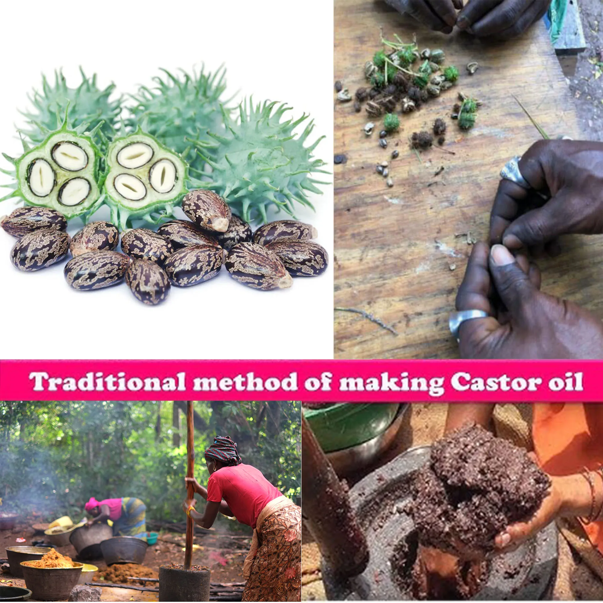 One Touch to Gorgeous 110 ml African Rosemary& Cloves Hot Oil Accelerate the Scalp to Deliver More Nutrients to Hair Follicles - Image 4